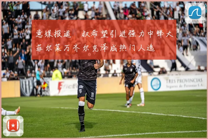 意媒报道囧叔希望引进强力中锋大菲尔莱万齐尔克泽成热门人选